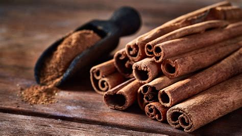 Canela: Curiosidades, Benefícios e Cultivo